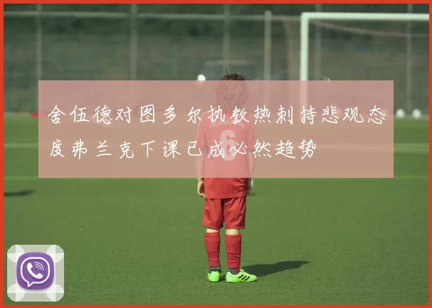 舍伍德对图多尔执教热刺持悲观态度弗兰克下课已成必然趋势